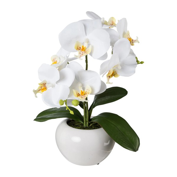 Kunstpflanze Phalaenopsis 'Real Touch', Weiß, HöHe Ca. 35 Cm-image