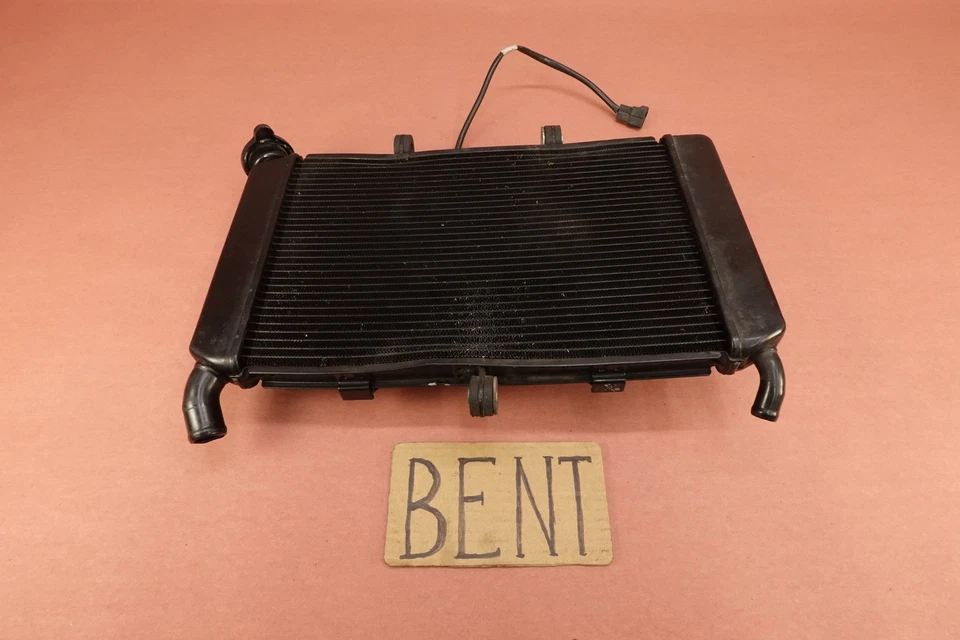 Yamaha FZ6-R FZ6R FZ6 FZ600 2004-2009 motor radiador enfriador con ventilador (doblado) Foto 2 de 4