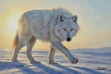 Original Hand Painted  Oil Painting-25x16”Majestic White Wolf  Signed By Artist