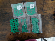 Girl Scout Membership Discs