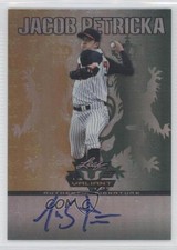 2011 Leaf Valiant Jake Petricka Jacob Petricka #VA-JP1 Auto 0t3