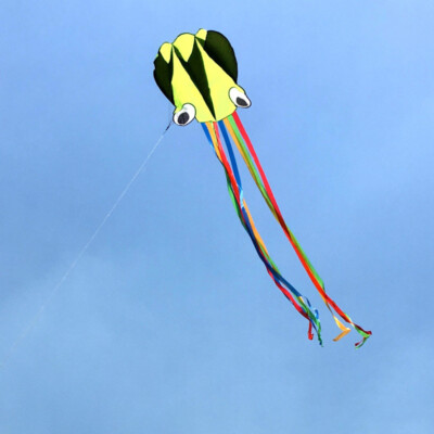 Octopus Kite 4M Kinder Drachen im Freien mit Griff Linie fliegende Spielzeug