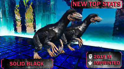 ARK Survival Ascended PvE PC/XBOX/PS5 THERIZINO (THERI) BLACK TOP STATS 2019M
