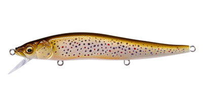 MEGABASS RETGRAPHFⅢ 10L LIMITED 【公式通販】