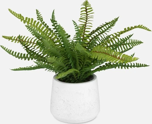 Uttermost 60238 Boston Fern 14" Tall Ceramic Faux Flora Planter - White - Picture 4 of 4