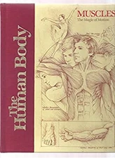 Muscles, the Magic of Motion Human Body Series Robert D. Selim