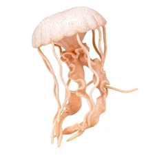 Jellyfish Incredible Creatures Figure Safari Ltd NEW IN STOCK