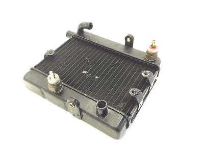 Majesty Radiator Fan Radiator Liquid Water Cooling Engine YAMAHA Majesty Dx YP 250 1999 ...
