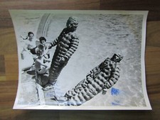 ATC Air Training corps 1940's 50's - R A F cadet  Leicester press photograph