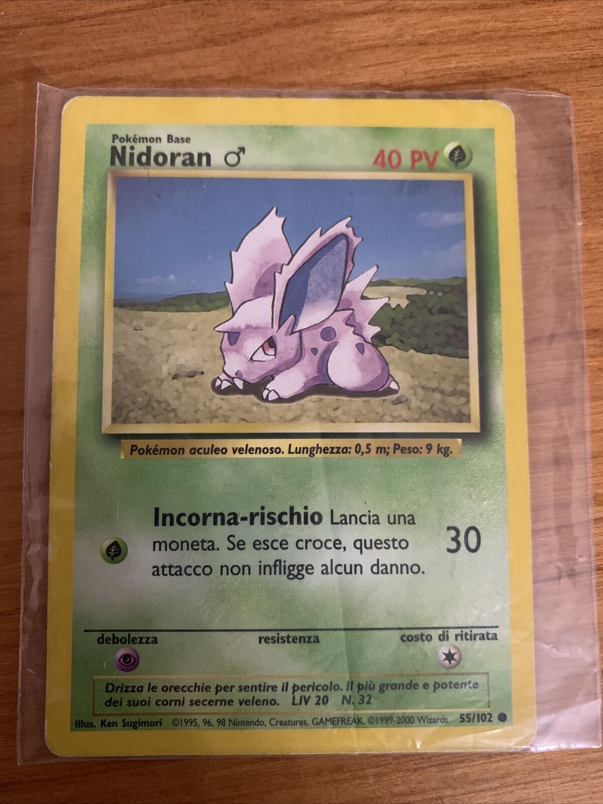 Foto 4 di 8