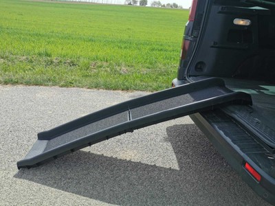 Mypets Auto Hunderampe Klappbar 160x40 Anti Rutsch Einstiegshilfe Rampe Hunde Ebay