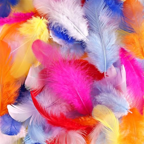 600pcs Colorful Feathers for Crafts 3-5inch Craft Feathers Bulk Multicolored - Picture 6 of 7