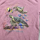 Foto 2 di 8