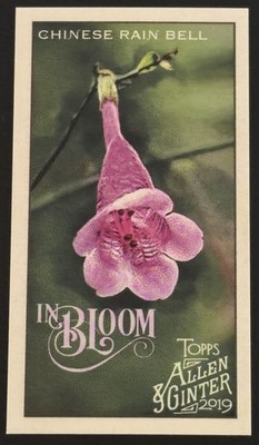 2019 Topps Allen & Ginter #IB-17 Chinese Rain Bell In Bloom