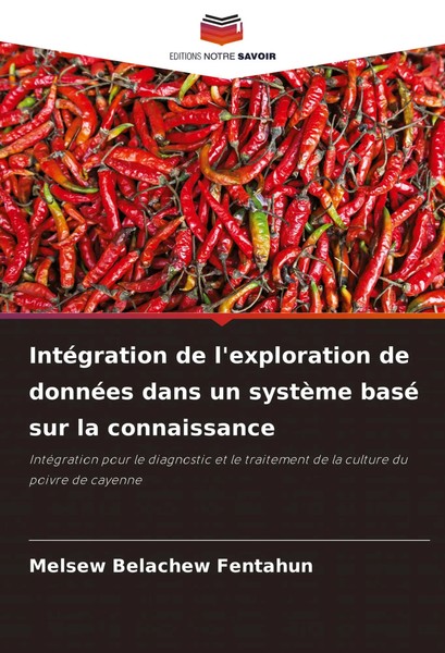 IntéGration De L'exploration De DonnéEs Dans Un SystèMe Basé Sur La Connaissance-image