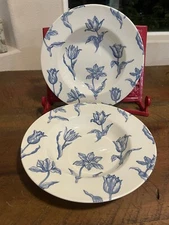 2 Royal Stafford Tulipa Tulip Soup Bowls White/Blue 10"