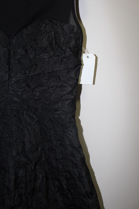 Picture 5 of 6