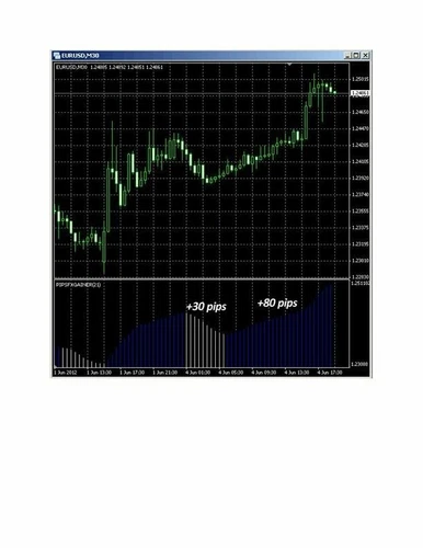 100 Pips Forex Gainer for Mt4
