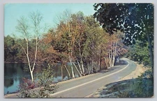 Greetings from Millbrook Ontario Canada Road View Postcard