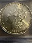 1885 MORGAN SILVER DOLLAR ICG MS 62