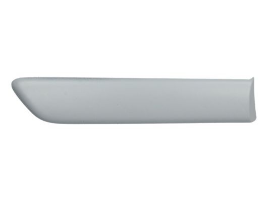 Right Rear BLIC 5703-04-2023478P Trim/Protection Strip, wing for FIAT