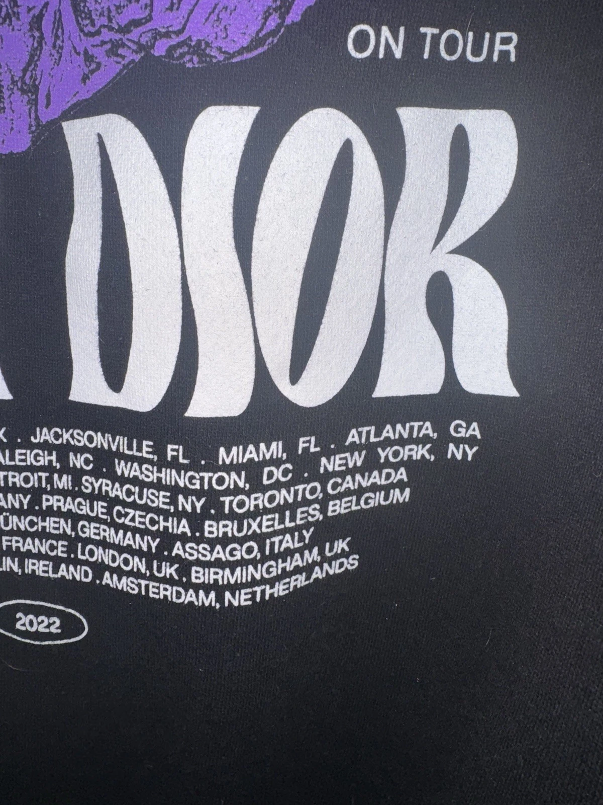 Felpa con cappuccio Iann Dior 2022 tour concerto merch taglia large indossata una volta