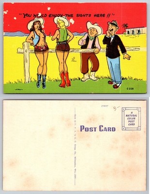 Vtg Linen Postcard Risqué J. Dean Cartoon Cowboy Cowgirls ''Sights Here''