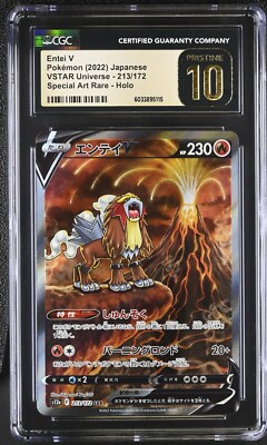 【PSA10】 エンティV SAR S12a 213/172 Pokemon Card Entei V SAR 213/172 s12a Japanese VSTAR