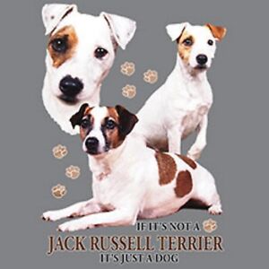 Jack Russell Size Chart