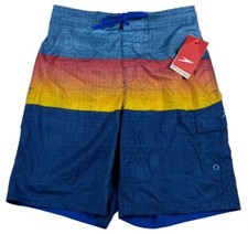 Speedo Swim Trunks Rainbow Colorblock Mesh Brief 9  Inseam UPF 50 Mens M NWT