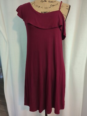 Pink Rose Womens Medium Dress Garnet Color Single Spaghetti Strap NWT Nice (CB4)