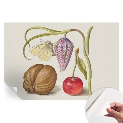 Peel and Stick Wallpaper Ideal for Renters Butterfly On Flower Leaf And Fruit