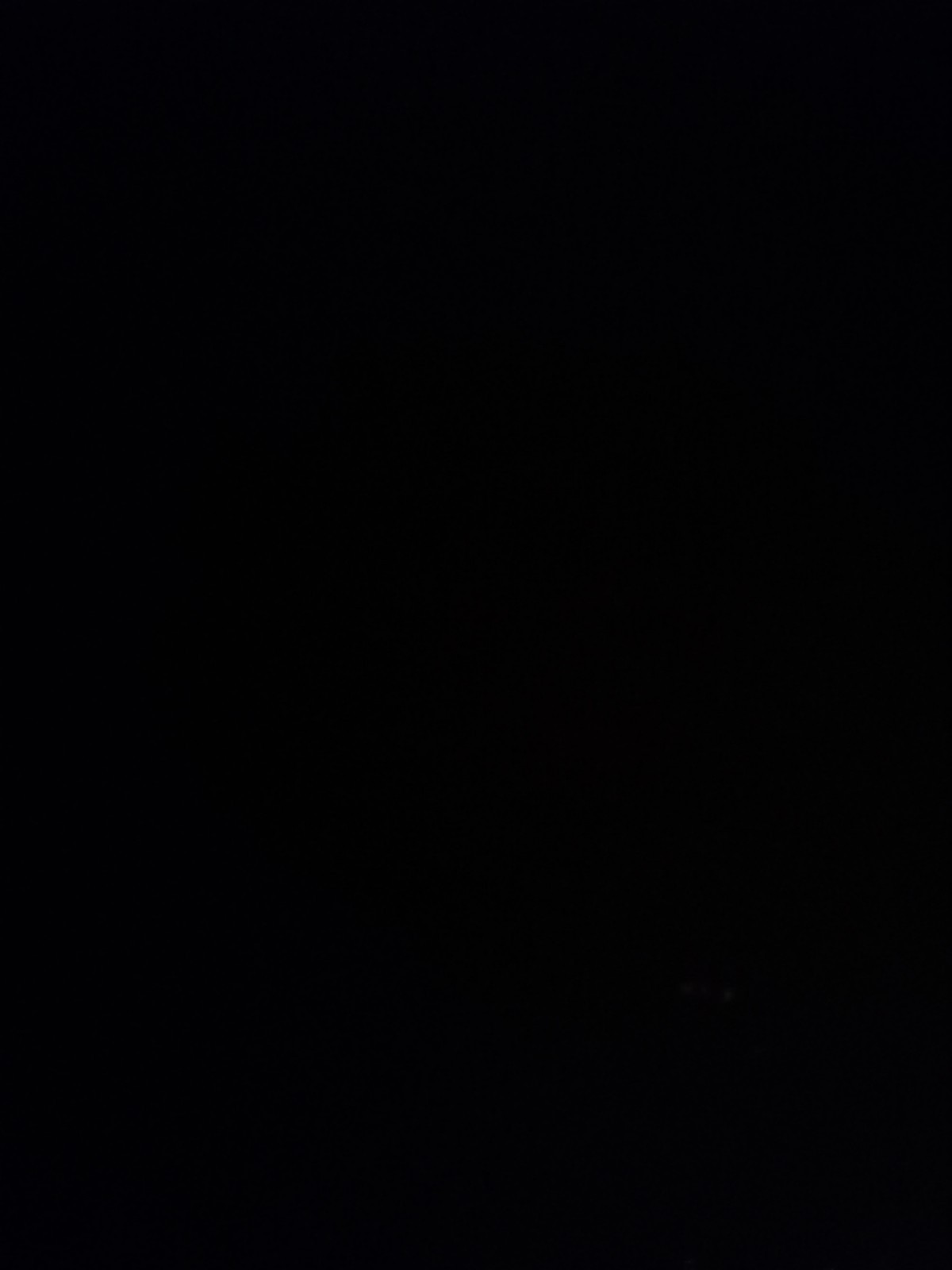 Bild 10 von 11