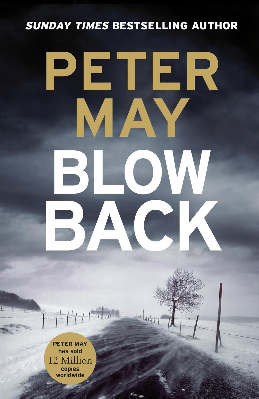 Blowback: The exciting penultimate case in the addictive crime series (The Enzo - Image 11