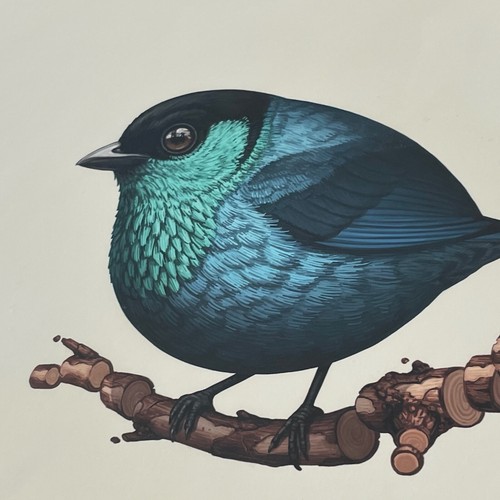 Mike Mitchell Black Capped Tanager 2018 Fat Bird Kingdom FIRMATO turchese - Foto 4 di 4