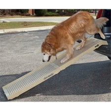 petstep ramp