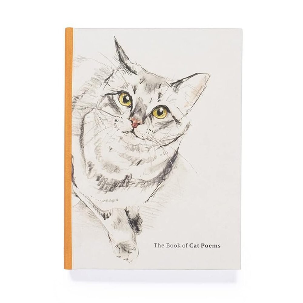 The Book of Cat Poems by Sarah Maycock, Ana Sampson - - Image 7