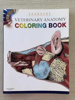 Saunders Veterinary Anatomy - Paperback, by Singh BVSc MVSc - Acceptable w