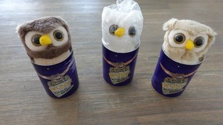 Harry Potter Eulen Plüscheulen Sammeledition 2001 3er Set TOP Zustand