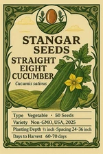 Straight Eight Cucumber Seeds 50 Pack, Non-GMO USA 2025