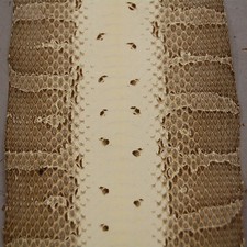 6 Black and White Unique Snake SIX Skin Leather Hide mdlk -z