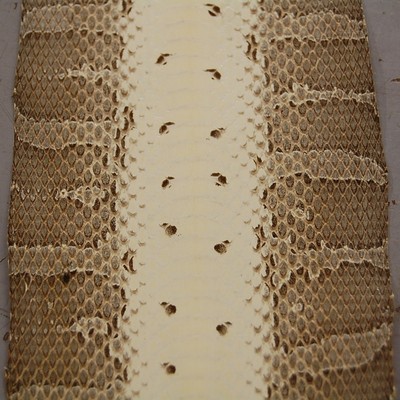 6 =  26 X 3 inc b/w Unique White Black Snake  SIX  Skin Leather Hide mdla  -i