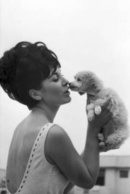 Diane Westbury 21 from Cheshire Heat Winner Miss Great Britain- 1965 Old Photo 2