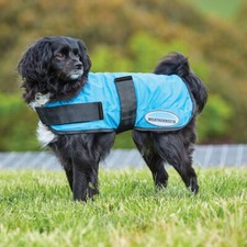 Weatherbeeta Therapy-Tec Cooling Hundemantel - blue