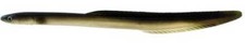 Artificial Eel 8" Natural Eel Color 4 Pack - Almost Alive Lures