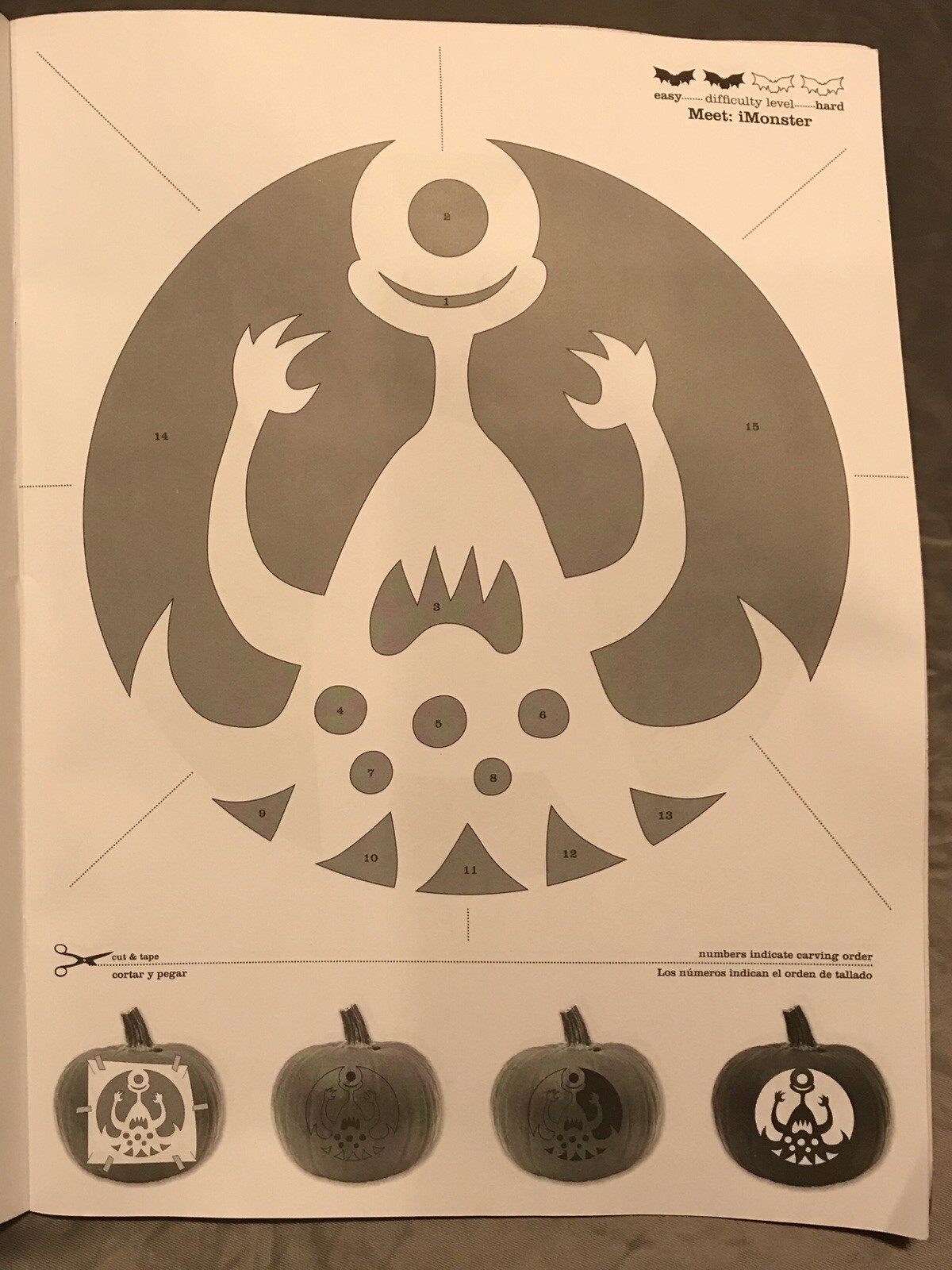 Picture 5 of 12