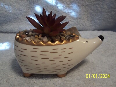 Hedgehog Faux Scented Vanilla Teakwood Succulent Planter NewApprox. 6'' X 5''
