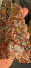 Christmas tree seam plume agate calico mountains Cabbing 1 lb 10 oz  — photo 7