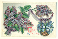1909 Best Wishes Embossed S 300 by R. Riche VTG Postcard C TM1.