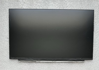 InnoLux 15.6'' Matte LCD Screen Display 30 Pin N156HCA-EAA REV.C1 20PDR,  *READ*